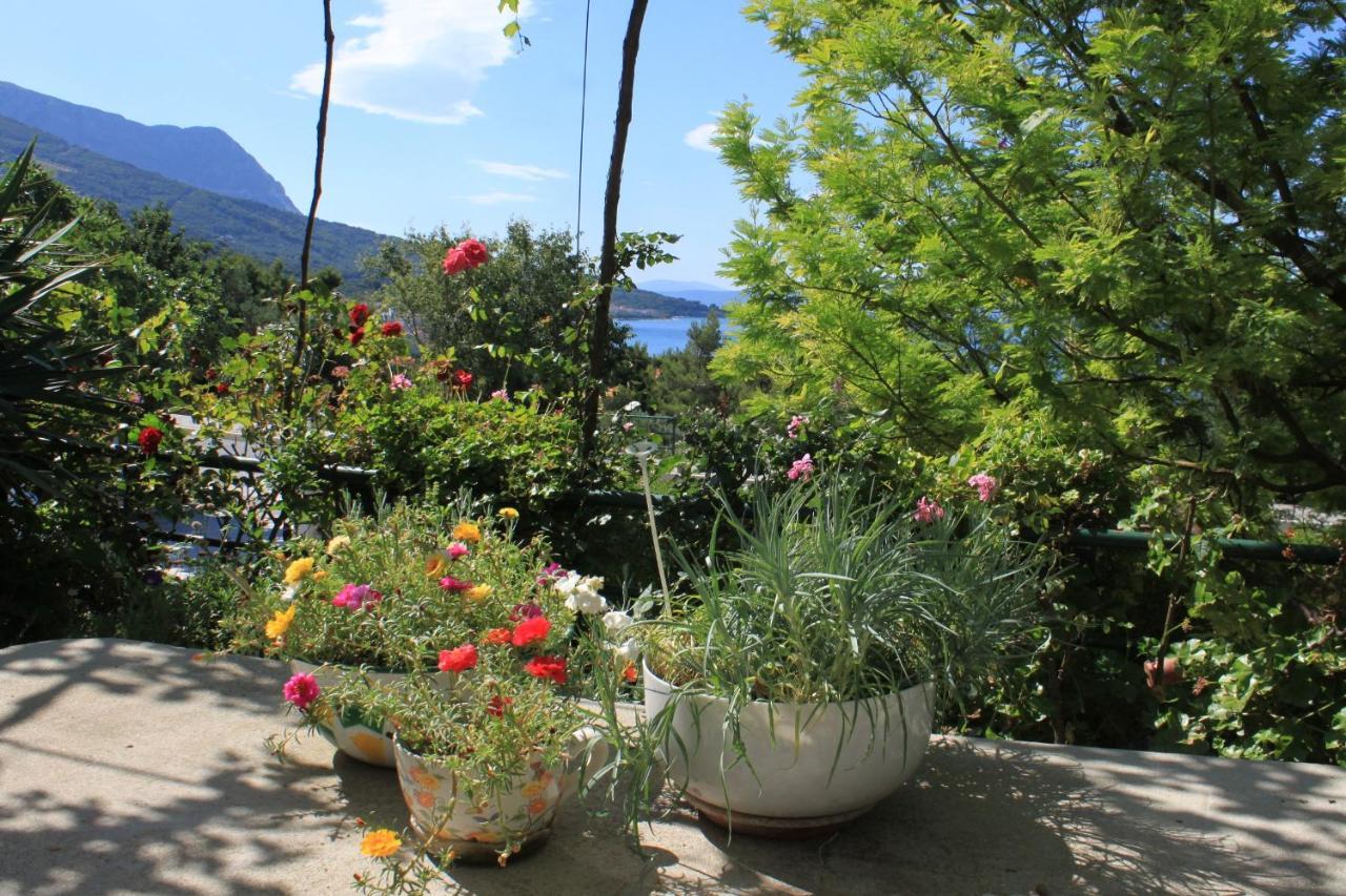 Apartments And Rooms With Parking Space Tucepi, Makarska - 6901 Exterior foto